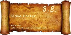Blaha Eszter névjegykártya